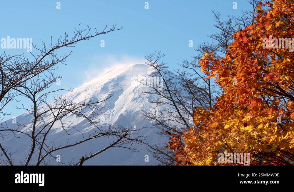 Dead peak Stock Videos & Footage - HD and 4K Video Clips - Alamy