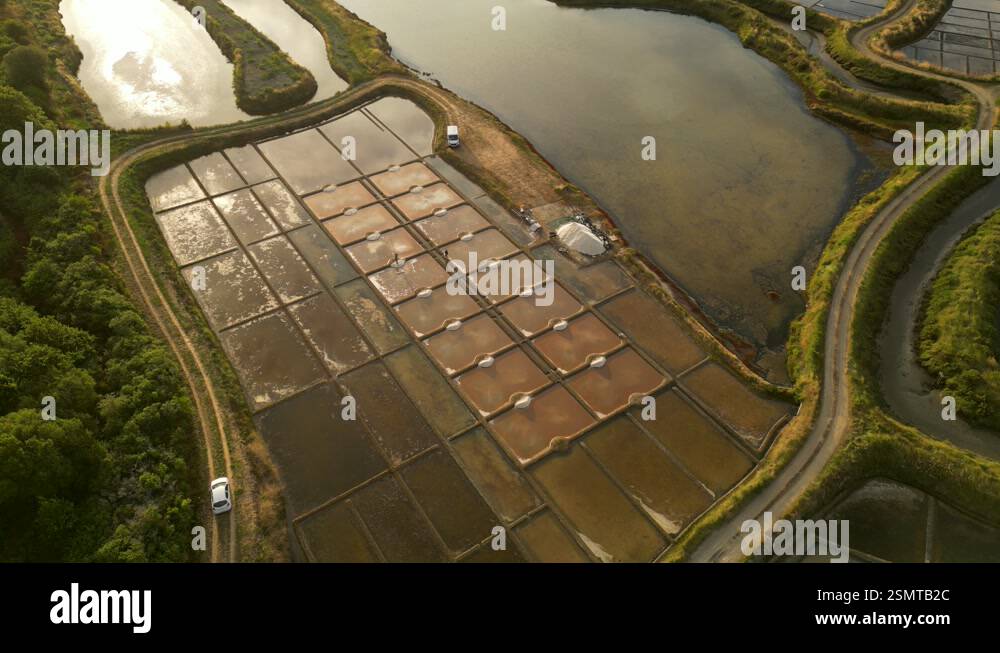 Aerial view of colorful salt marshes and patterns, France Stock Video ...