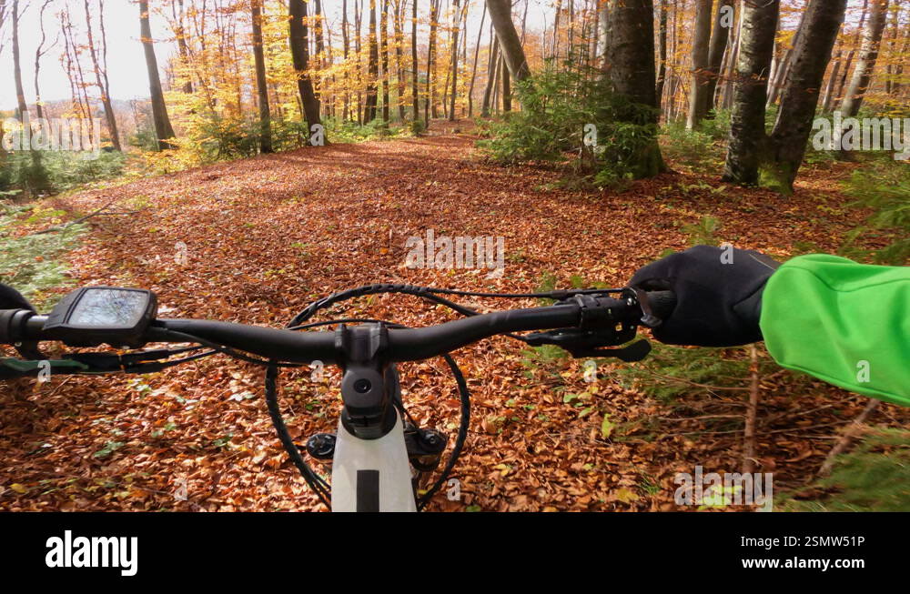 POV, FPV: Bike rider on a ride through vibrant autumn forest together ...