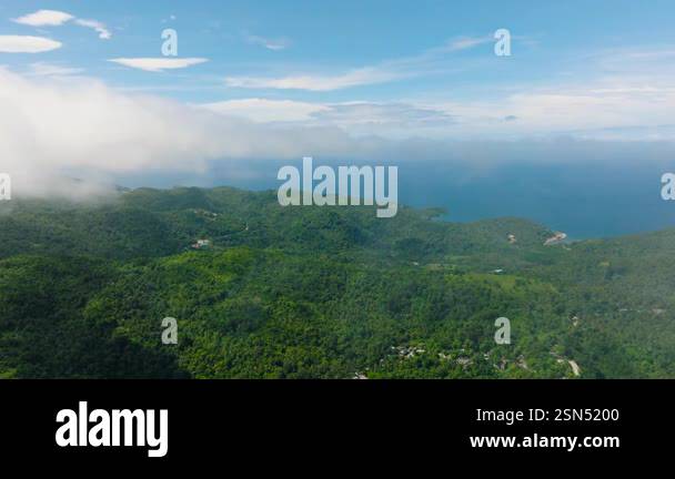 Tropical green hills and forests reaching out to the clear blue ocean ...