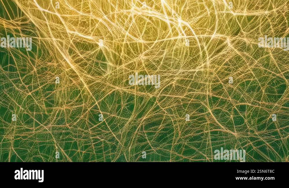 Video effect with tangled threads Stock Video Footage - Alamy