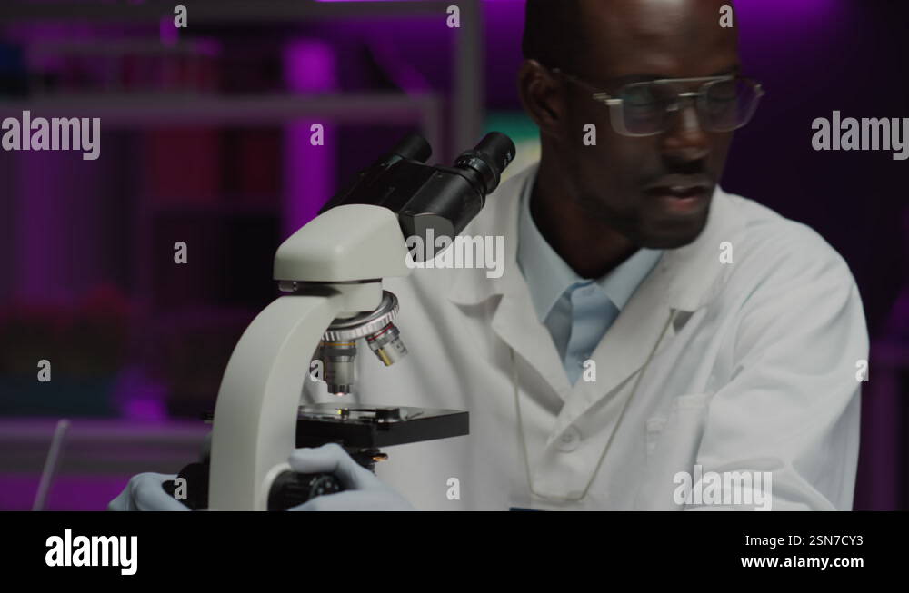 Black Scientist Examining Plant Cells under Microscope in Laboratory ...