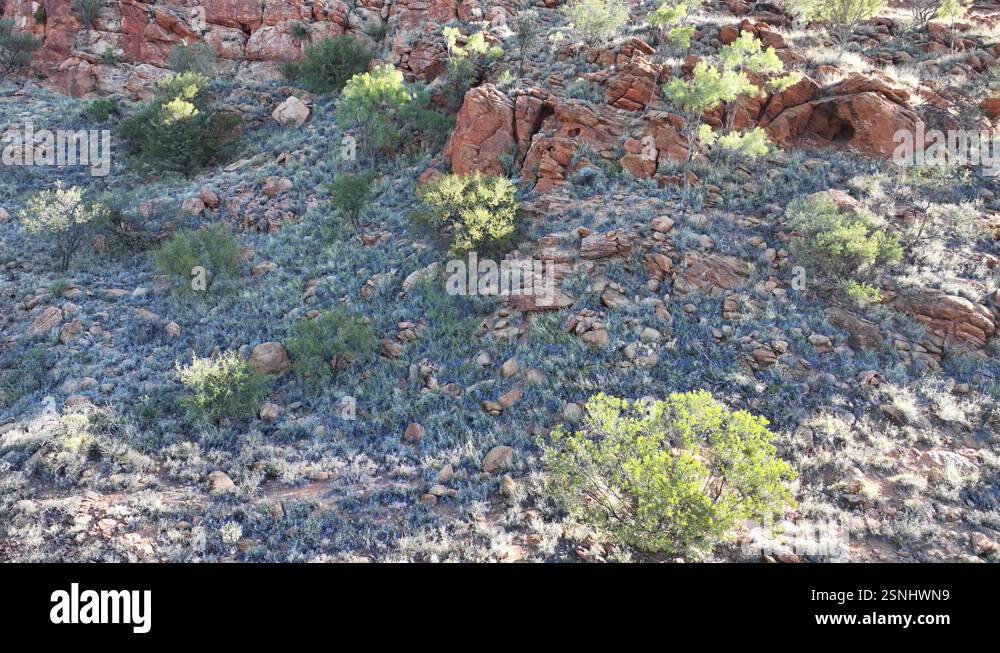 Spring Rocks Desert Red desert rocks Stock Videos & Footage - HD and 4K Video Clips - Alamy