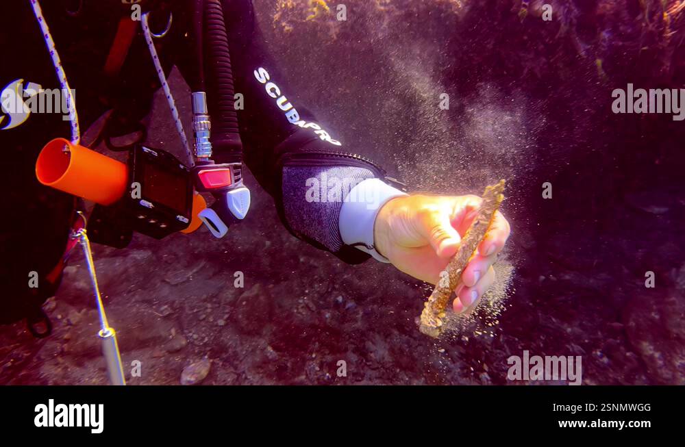 Unveiling Ancient Secrets Underwater Archaeologist Discovers 2,000-Year ...