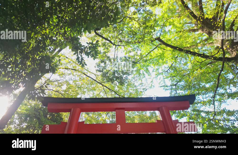 The timeless design of a Torii gate at Shimogamo Shrine in Kyoto, Japan ...