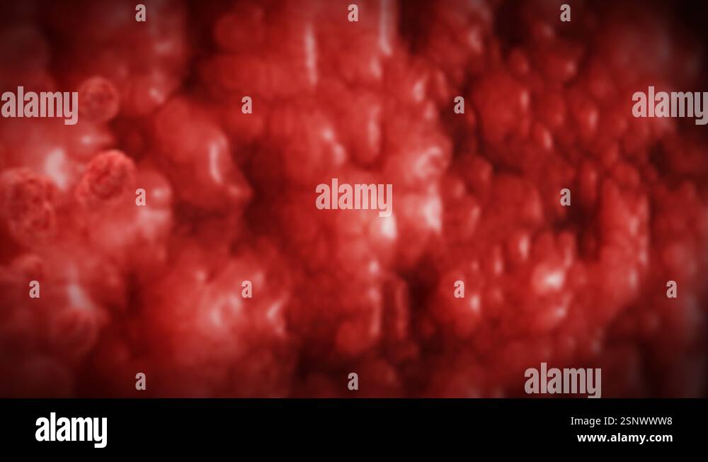 Inside human body,red blood cells,highly detailed texture Stock Video ...