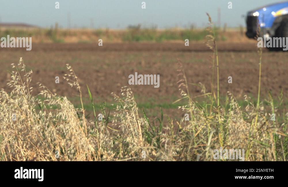 Crop discing Stock Videos & Footage - HD and 4K Video Clips - Alamy