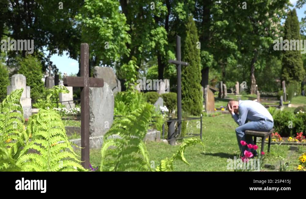 Despair mourning son man sit on bench near mother grave in cemetery. 4K ...