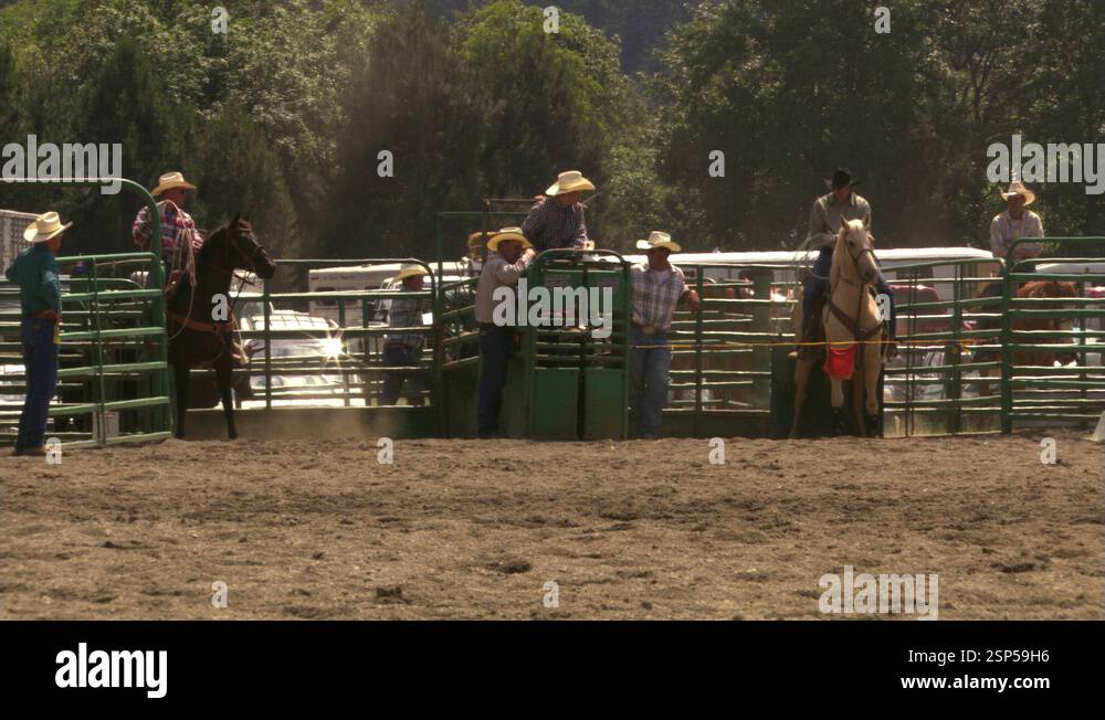 Heel loop Stock Videos & Footage - HD and 4K Video Clips - Alamy