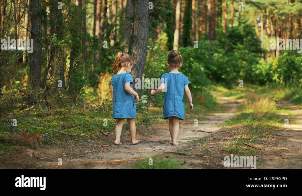 Girls walking on forest road Stock Videos & Footage - HD and 4K Video ...