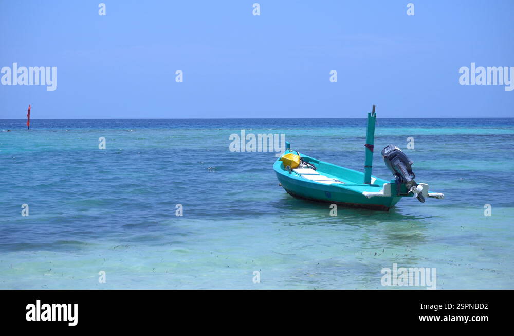 Speedboat shipping at the sea Stock Video Footage - Alamy