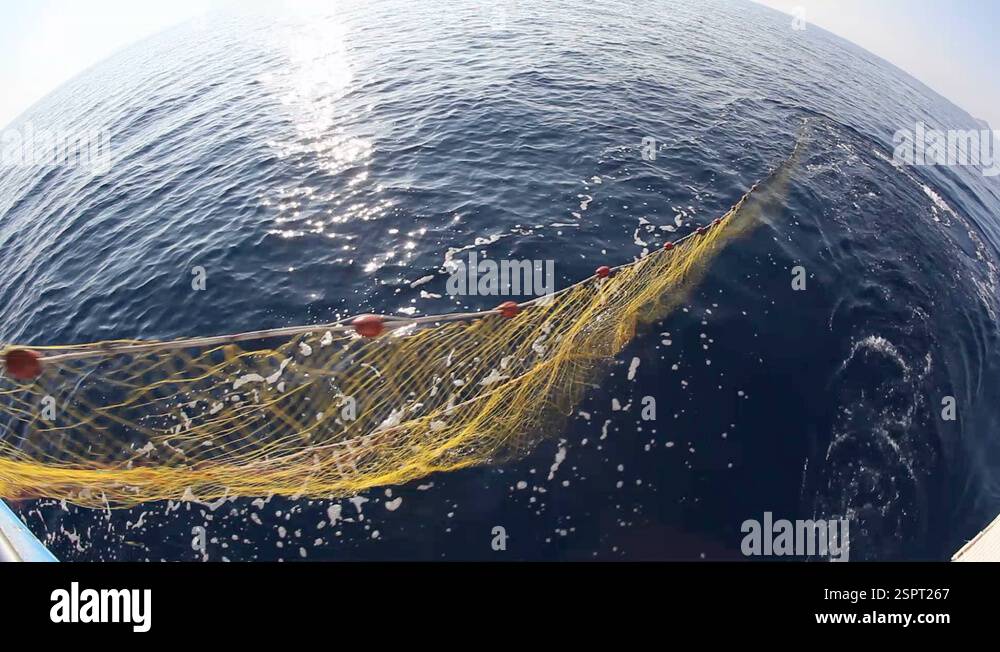 Fishing Cutter Stock Video Footage - Alamy