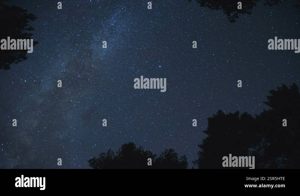 The Milky Way Moving Across the Night Sky with Trees Framing the Scene ...