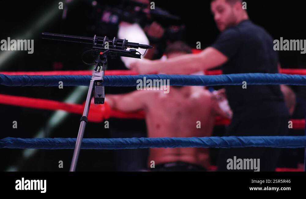 Boxer on the ring. The boxer getting rest Stock Video Footage - Alamy