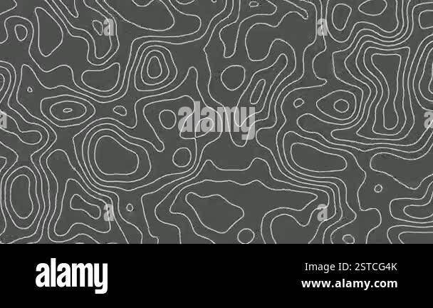 Gray animated topographic lines moving background, contour lines ...