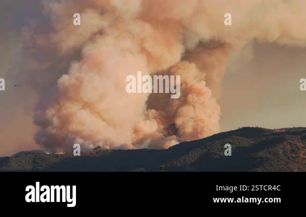 LA LA LA RESISTANCE: THE Fire That Engulfed Los Angeles Rises Up
