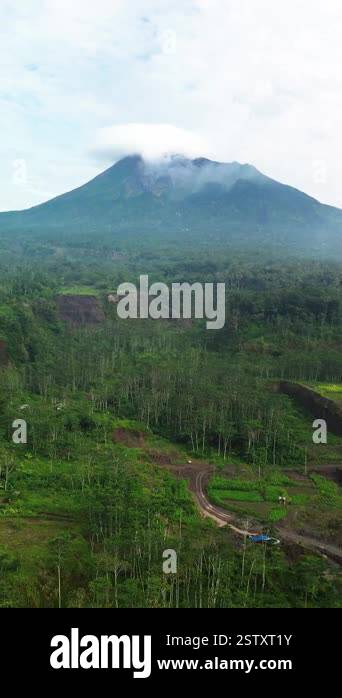 Aerial view of the mountain in the morning with a panorama of dense ...