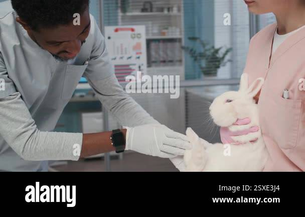 Tilt down shot of young caring African American male vet in uniform ...