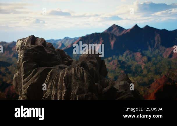 Gallery image with a fresh perspective