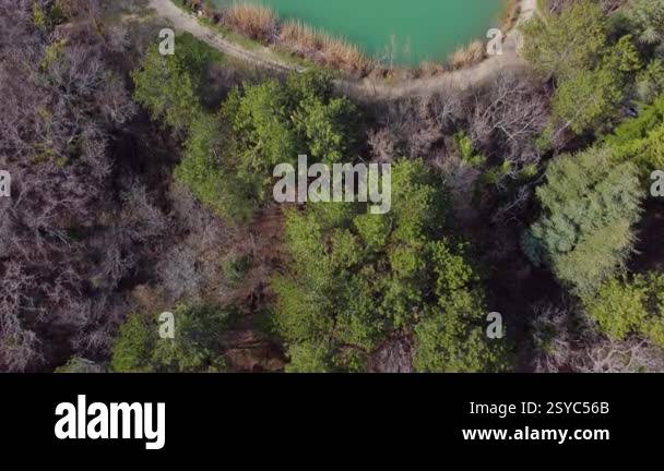 An expansive aerial view portrays a vibrant array of green trees that ...