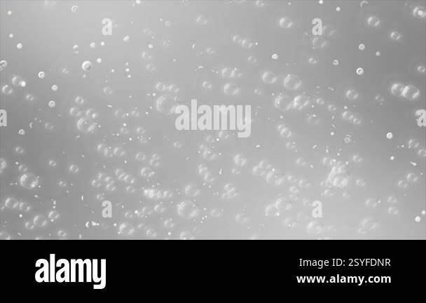 Animated white color multiple glowing bubble particles moving upwards ...