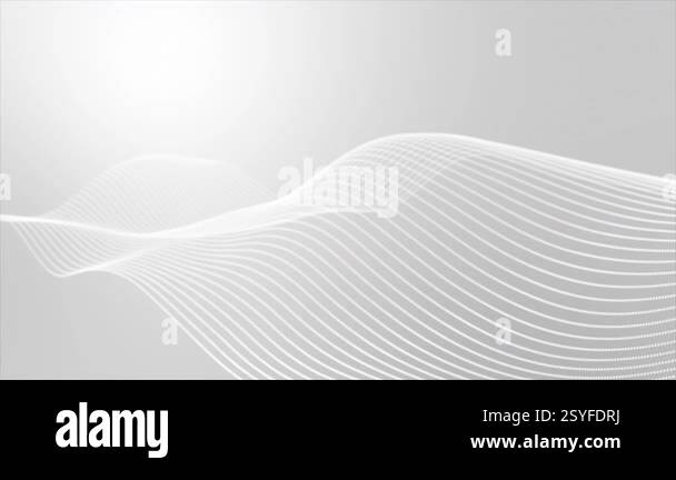 Animated white color simple and clean wavy lines gradient design loop ...