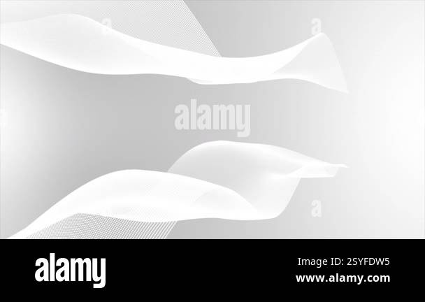 Animated white color wavy lines silk textured gradient design loop able ...