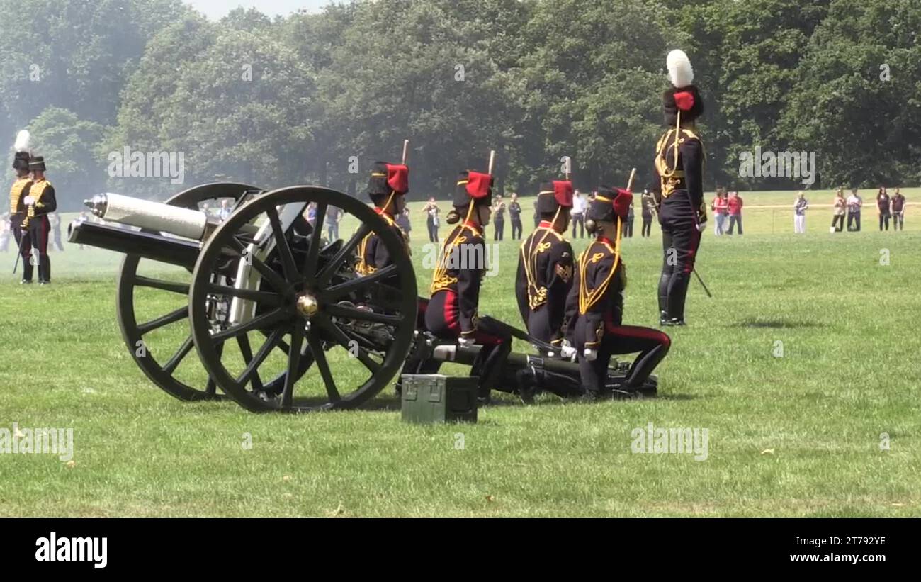 41 gun royal salute in hyde park Stock Videos & Footage HD and 4K