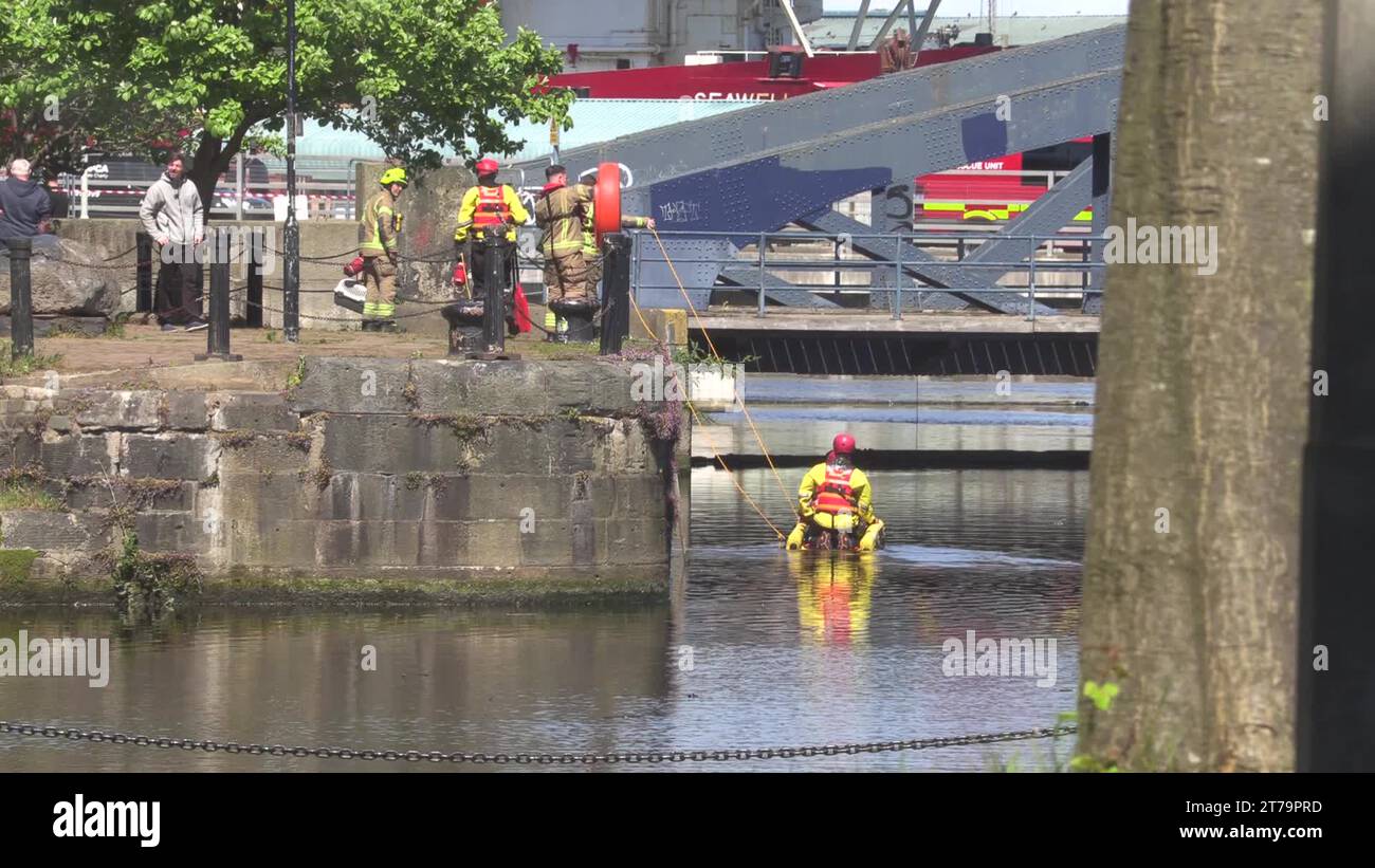 Animal and water rescue unit Stock Videos & Footage - HD and 4K Video ...