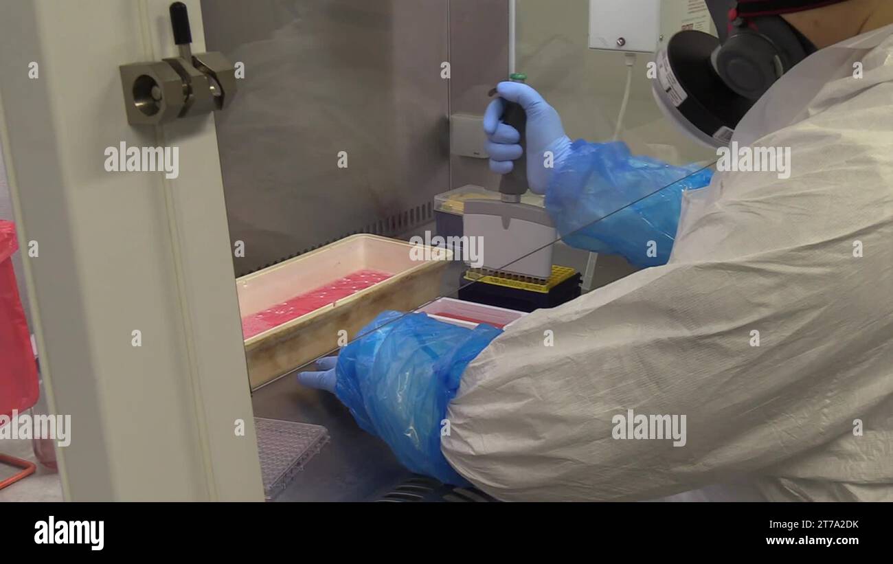 The Mechanics of Viral Containment Failure in Maritime Environments