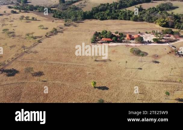 Farming landscape at countryside rural scenery. Green field background ...