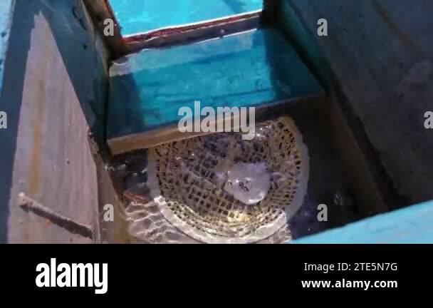 Water surface filtration Stock Videos & Footage - HD and 4K Video Clips ...