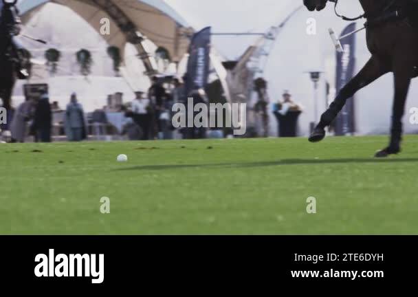 trickers polo chukka