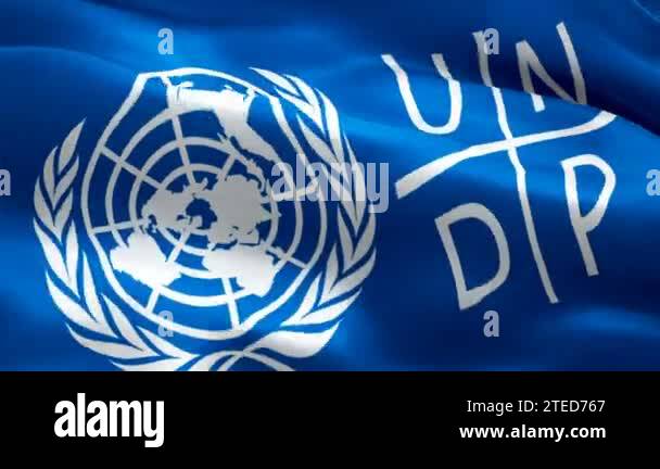 United Nations Programme Logo