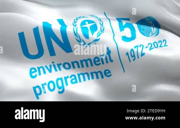 Un Environment Programme Logo National 3d Unep United Nations Logo Un Environment Programme Logo National 3d Unep United Nations Logo