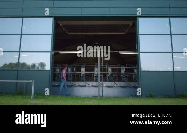 Farmer walking milking equipment parlor. Dairy production worker ...