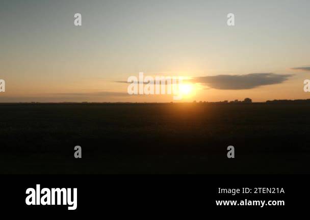 Soybean field sunset Stock Videos & Footage - HD and 4K Video Clips - Alamy