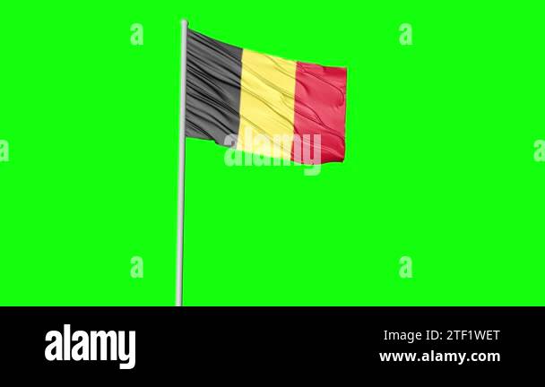 Green screen flag Stock Videos & Footage - HD and 4K Video Clips - Alamy