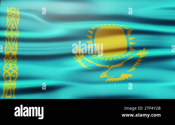 Checkbox vector Stock Videos & Footage - HD and 4K Video Clips - Alamy