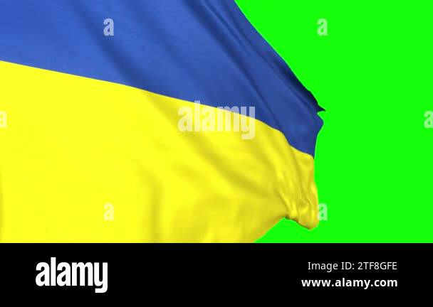 Ukraine waving flag transition seamless loop animation. 3d animation ...
