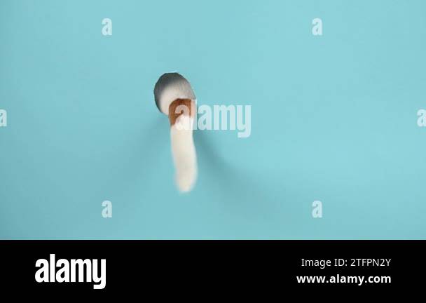 Dog tail sticking out of a hole in paper blue background Stock Video ...