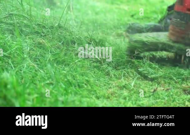 Close-up shot of male worker in jeans maintenance garden using an ...
