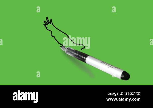 Draw flying eagle in light and dark brown color combination with yellow