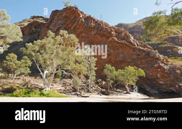 Alice Spring Ghost Alice springs ghost gums Stock Videos & Footage - HD and 4K Video Clips ...