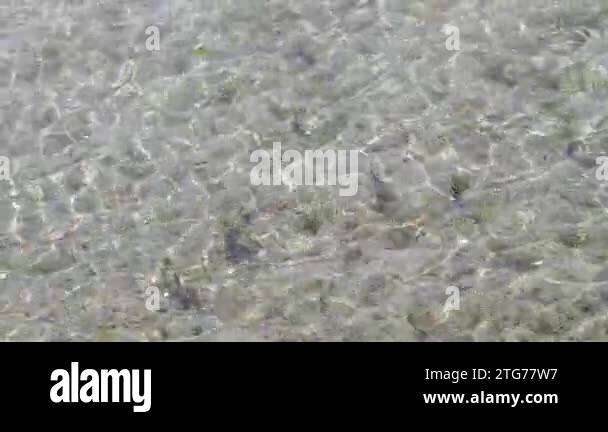 Sun glare on the surface of crystal clear sea water, video. Small ...