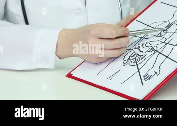 Anatomical diagram body Stock Videos & Footage Biology Diagrams