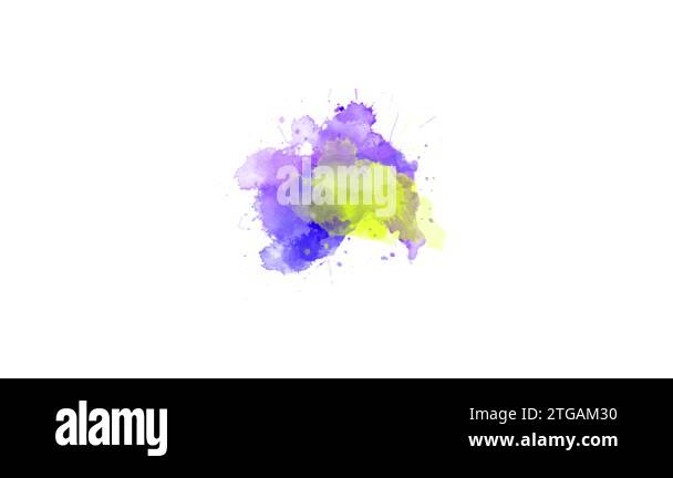 ink splatter transition effect animation. watercolor black ink splatter ...