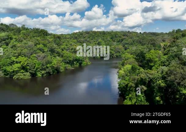 Amazon River at Amazon Rainforest. The biggest tropical rainforest of ...