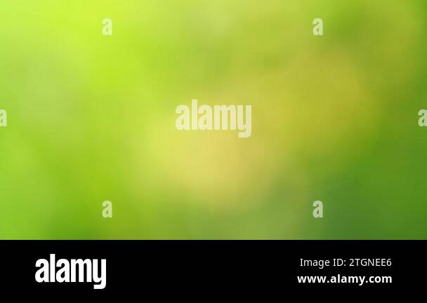 abstract green background.Color gradient animation. Moving soft blurred ...
