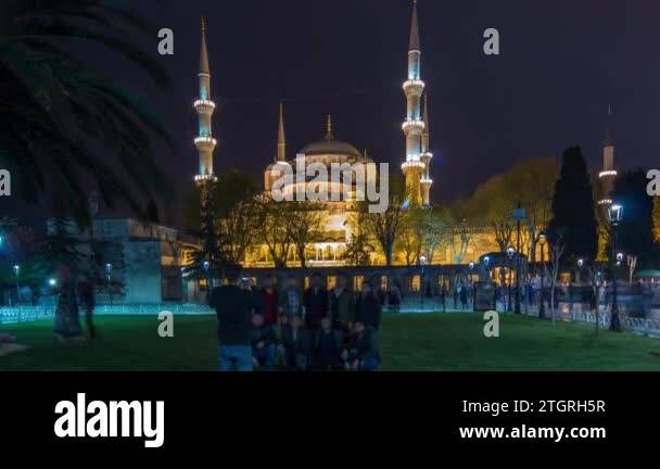 Illuminated Blue Mosque at night timelapse view from lawn with palm in ...